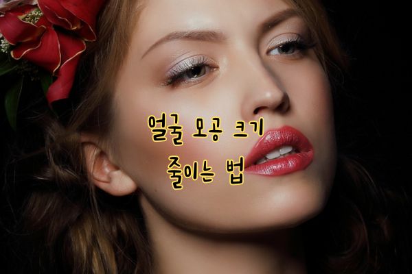 모공 줄이는 법 3가지 모공 줄이는 법 3가지