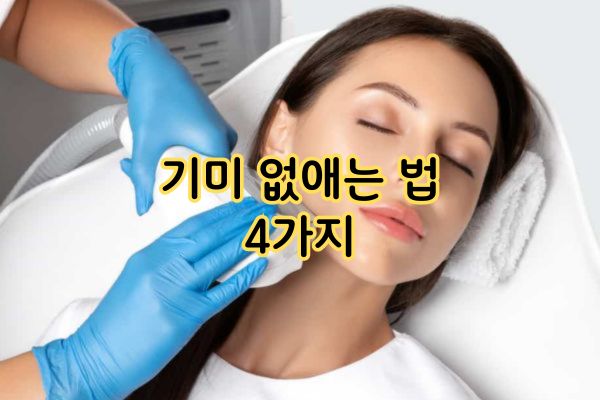 기미 없애는 법 4가지 기미 없애는 법 4가지