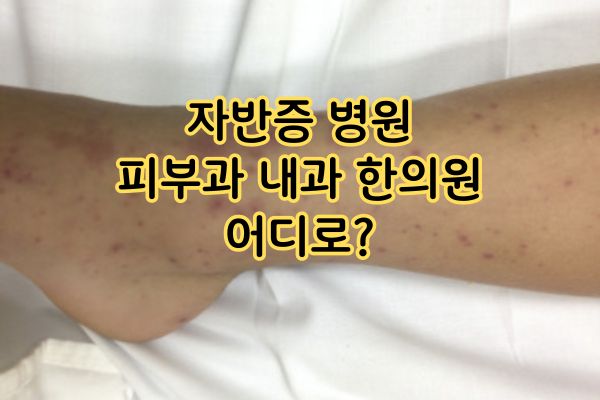 자반증 병원 피부과 내과 한의원 어디로