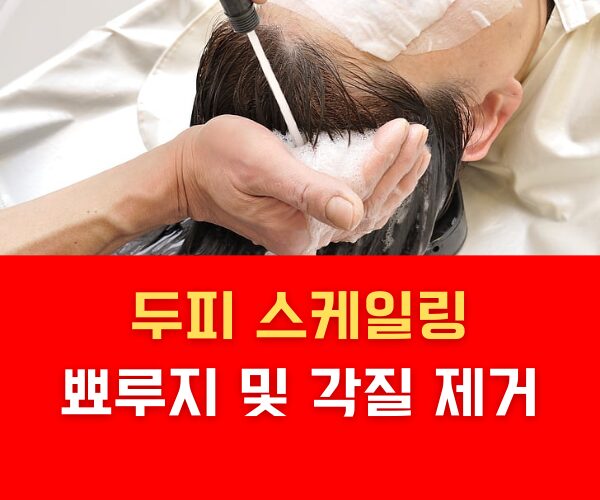 두피 스케일링 뾰루지 및 각질 제거