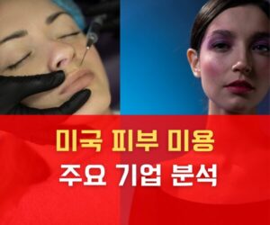 미국 피부 미용 산업과 주요 기업 분석