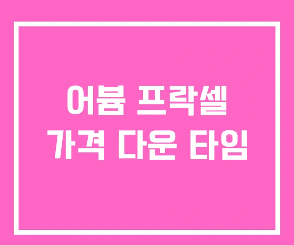 어븀 프락셀 가격 다운 타임 어븀 프락셀 가격 다운 타임