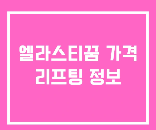 엘라스티꿈 가격 리프팅 정보 엘라스티꿈 가격 리프팅 정보