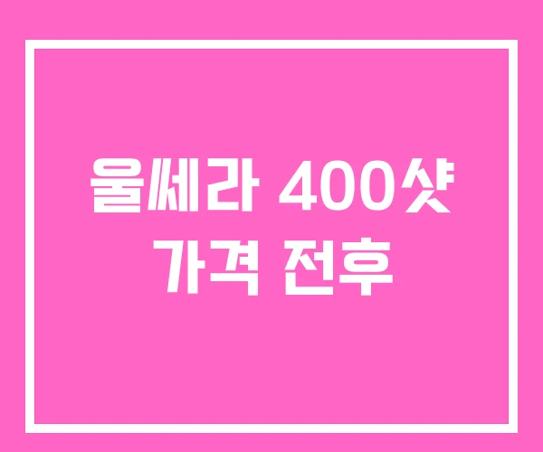 울쎄라 400샷 가격 전후 울쎄라 400샷 가격 전후