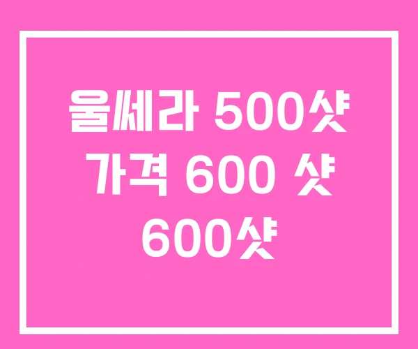 울쎄라 500샷 가격 600 샷 600샷 울쎄라 500샷 가격 600 샷 600샷