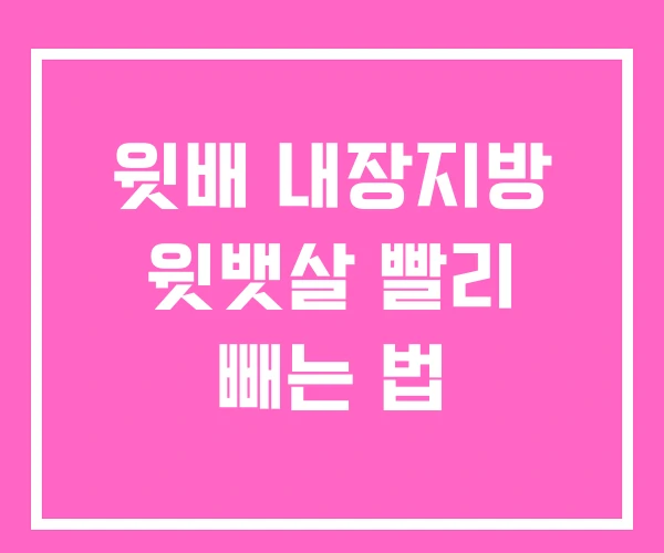 윗배 내장지방 윗뱃살 빨리 빼는 법 윗배 내장지방 윗뱃살 빨리 빼는 법