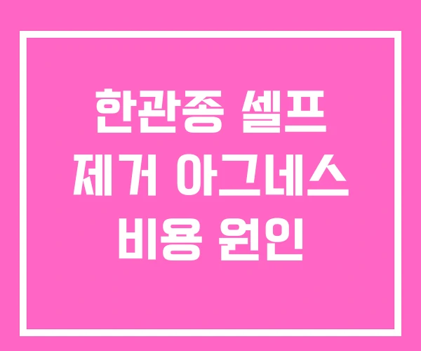 한관종 셀프 제거 아그네스 비용 원인 한관종 셀프 제거 아그네스 비용 원인