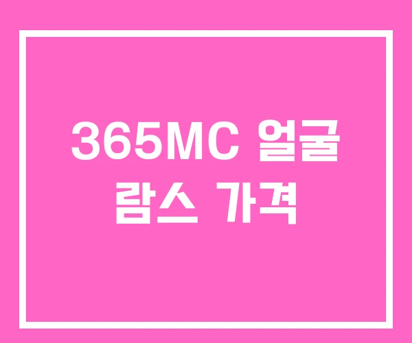 365MC 얼굴 람스 가격 365MC 얼굴 람스 가격