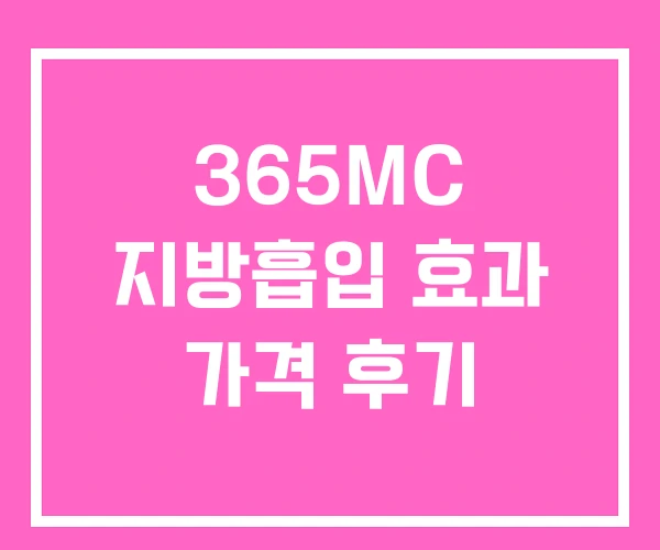 365MC 지방흡입 효과 가격 후기