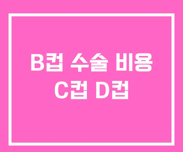 B컵 수술 비용 C컵 D컵