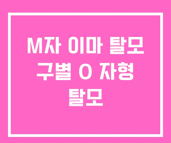 M자 이마 탈모 구별 O 자형 탈모