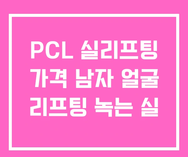 PCL 실리프팅 가격 남자 얼굴 리프팅 녹는 실