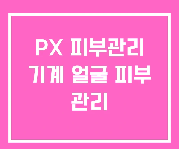 PX 피부관리 기계 얼굴 피부 관리