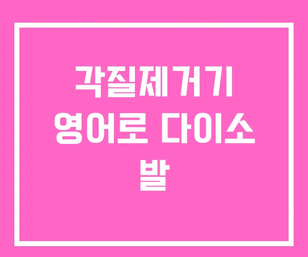 각질제거기 영어로 다이소 발