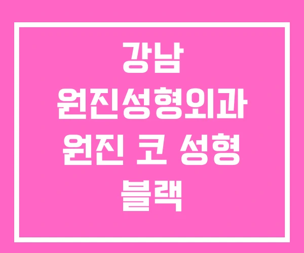 강남 원진성형외과 원진 코 성형 블랙