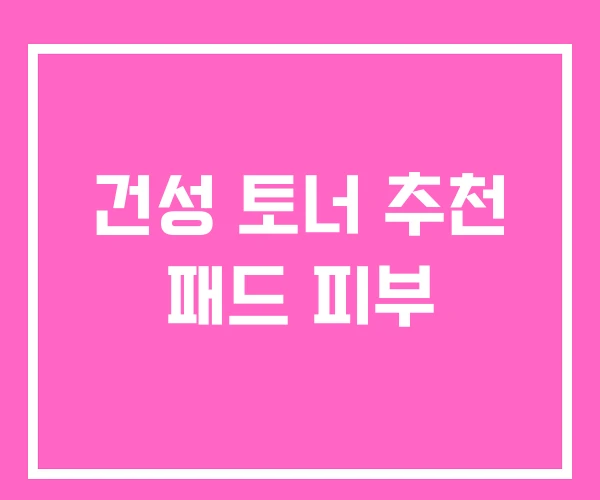 건성 토너 추천 패드 피부