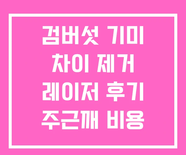 검버섯 기미 차이 제거 레이저 후기 주근깨 비용