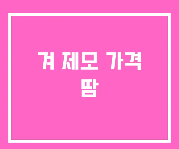 겨 제모 가격 땀