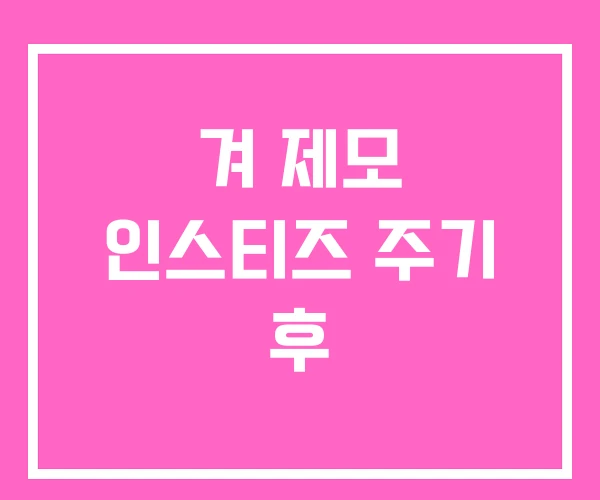 겨 제모 인스티즈 주기 후