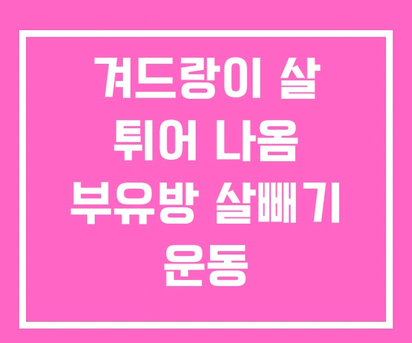 겨드랑이 살 튀어 나옴 부유방 살빼기 운동