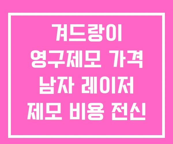 겨드랑이 영구제모 가격 남자 레이저 제모 비용 전신