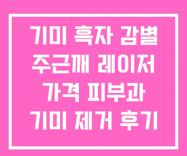 기미 흑자 감별 주근깨 레이저 가격 피부과 기미 제거 후기