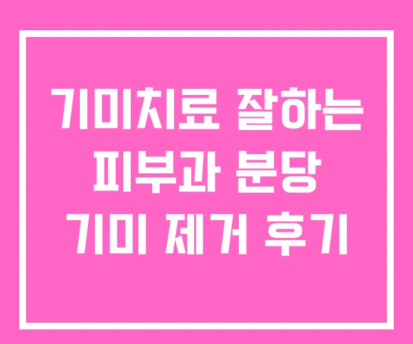 기미치료 잘하는 피부과 분당 기미 제거 후기