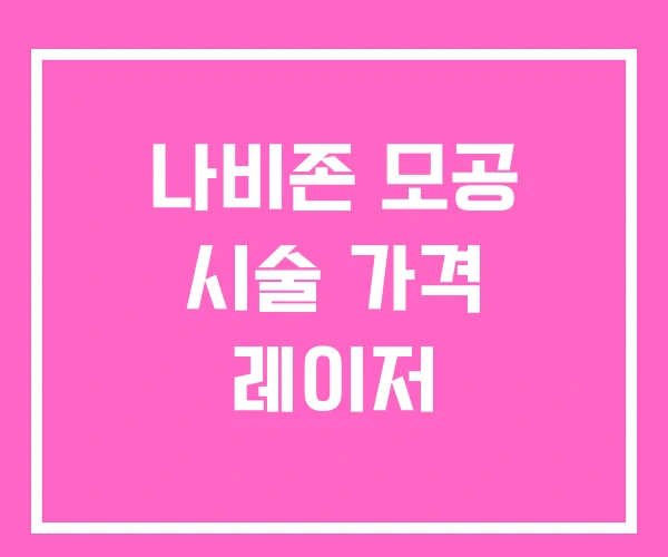 나비존 모공 시술 가격 레이저 나비존 모공 시술 가격 레이저