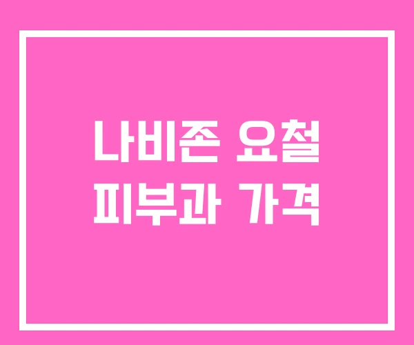 나비존 요철 피부과 가격