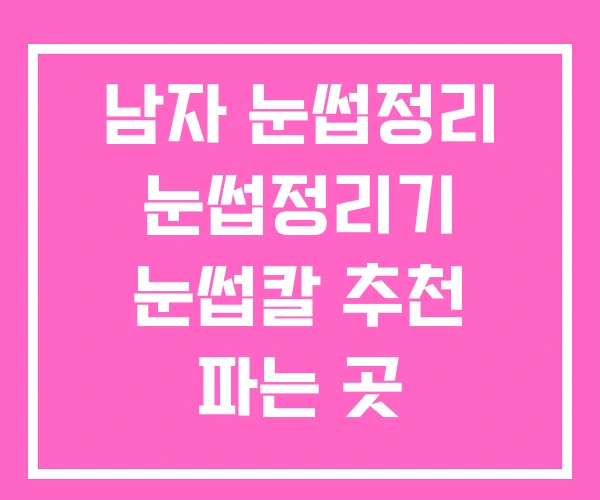 남자 눈썹정리 눈썹정리기 눈썹칼 추천 파는 곳