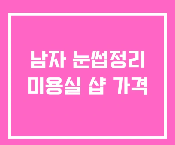 남자 눈썹정리 미용실 샵 가격