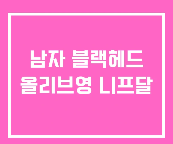 남자 블랙헤드 올리브영 니프달 남자 블랙헤드 올리브영 니프달