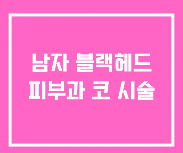 남자 블랙헤드 피부과 코 시술 남자 블랙헤드 피부과 코 시술