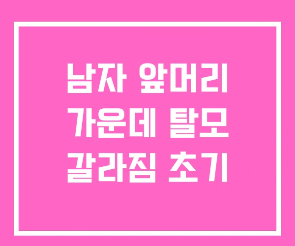 남자 앞머리 가운데 탈모 갈라짐 초기