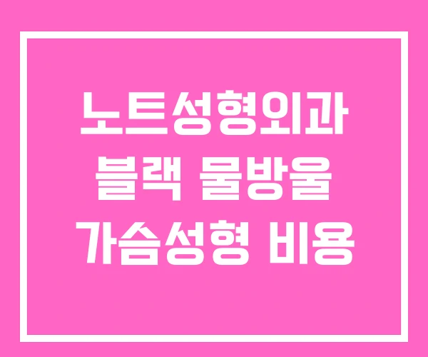 노트성형외과 블랙 물방울 가슴성형 비용