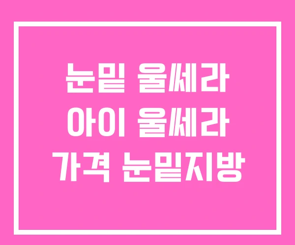 눈밑 울쎄라 아이 울쎄라 가격 눈밑지방