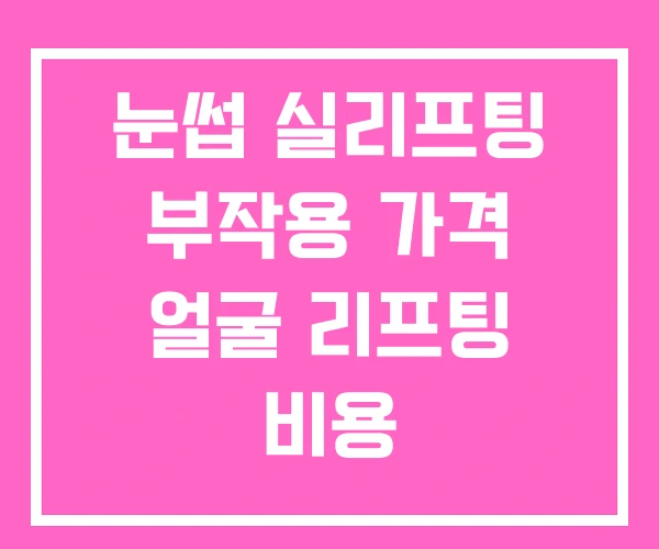 눈썹 실리프팅 부작용 가격 얼굴 리프팅 비용 눈썹 실리프팅 부작용 가격 얼굴 리프팅 비용