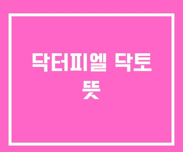 닥터피엘 닥토 뜻