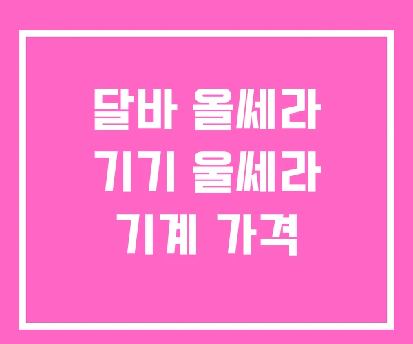 달바 올쎄라 기기 울쎄라 기계 가격