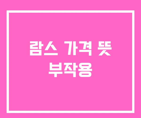 람스 가격 뜻 부작용 람스 가격 뜻 부작용