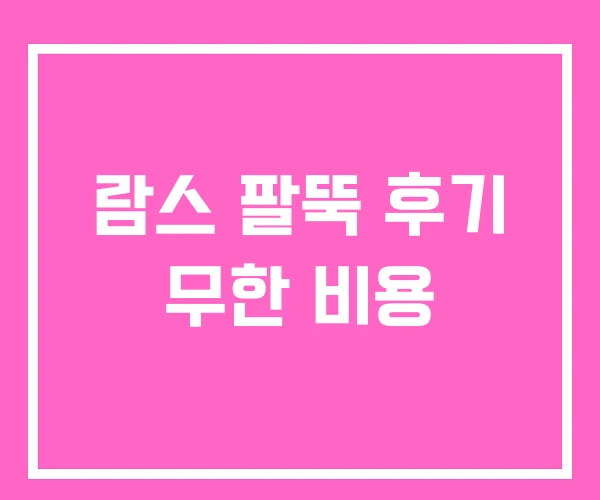 람스 팔뚝 후기 무한 비용