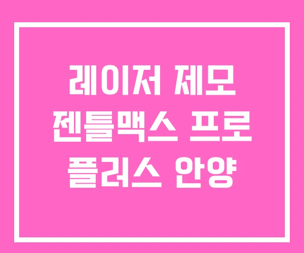 레이저 제모 젠틀맥스 프로 플러스 안양 레이저 제모 젠틀맥스 프로 플러스 안양