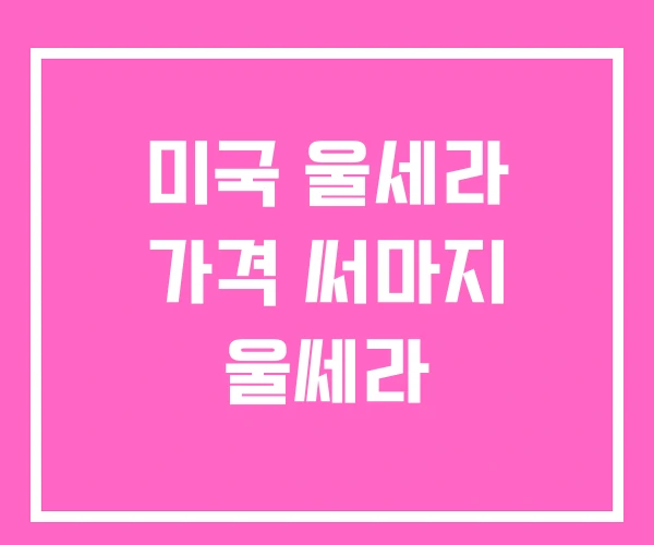 미국 울세라 가격 써마지 울쎄라 미국 울세라 가격 써마지 울쎄라