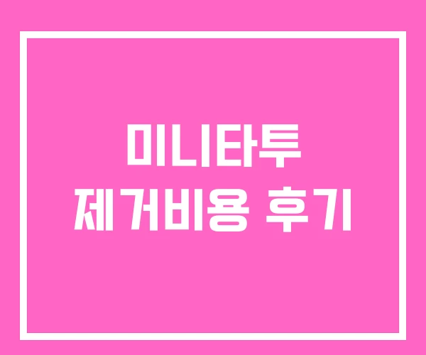 미니타투 제거비용 후기