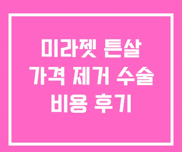 미라젯 튼살 가격 제거 수술 비용 후기 미라젯 튼살 가격 제거 수술 비용 후기