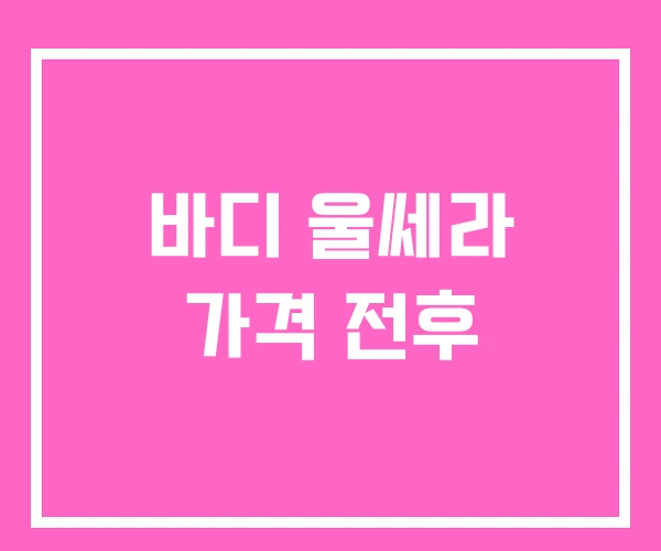 바디 울쎄라 가격 전후