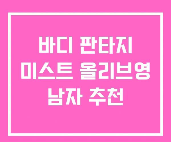 바디 판타지 미스트 올리브영 남자 추천 바디 판타지 미스트 올리브영 남자 추천