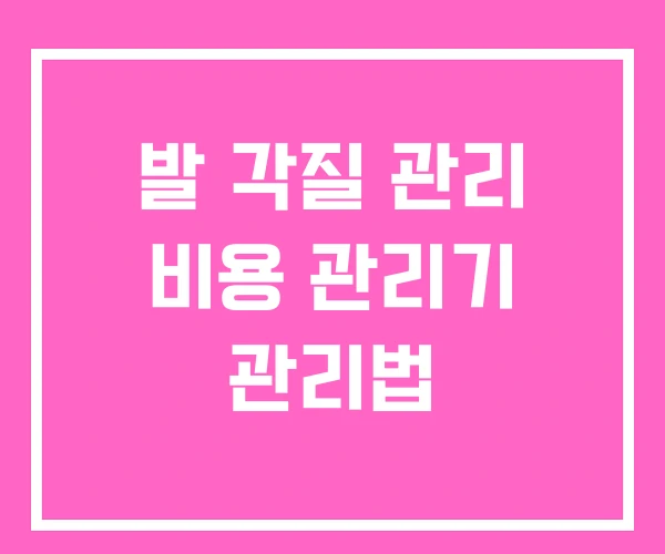 발 각질 관리 비용 관리기 관리법 발 각질 관리 비용 관리기 관리법