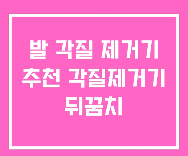 발 각질 제거기 추천 각질제거기 뒤꿈치