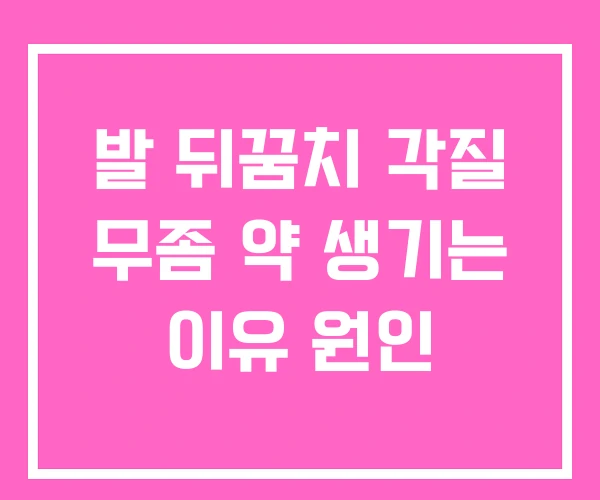 발 뒤꿈치 각질 무좀 약 생기는 이유 원인 발 뒤꿈치 각질 무좀 약 생기는 이유 원인